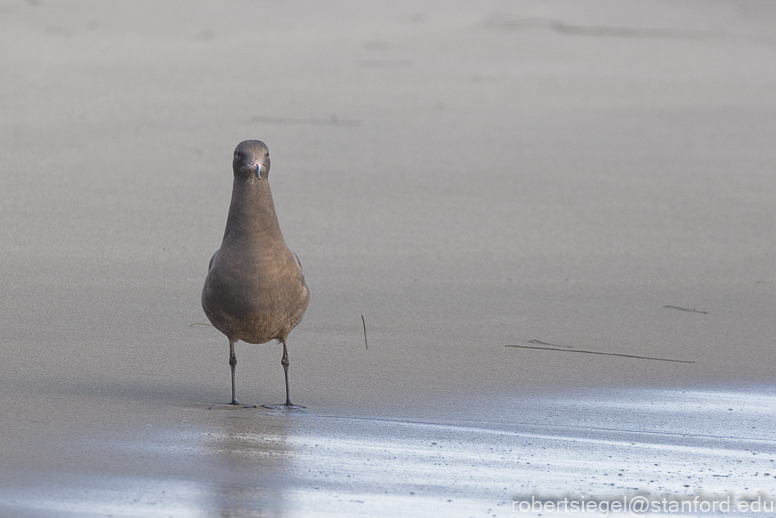 Gaviota State Park